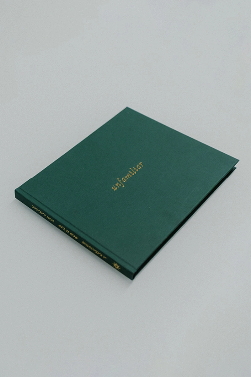 Unfamiliar Α/Κατάλογος 65o Διεθνές Φεστιβάλ Κινηματογράφου Θεσσαλονίκης